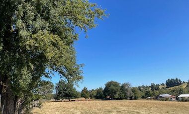 ¡OPORTUNIDAD!  Vende terreno 10.000 mts.2, Sector Paraguay Chico, Los Muermos.