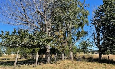 ¡OPORTUNIDAD!  Vende terreno 10.000 mts.2, Sector Paraguay Chico, Los Muermos.