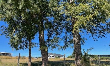 ¡OPORTUNIDAD!  Vende terreno 10.000 mts.2, Sector Paraguay Chico, Los Muermos.