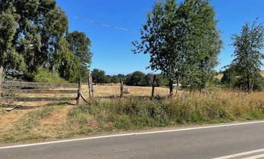 ¡OPORTUNIDAD!  Vende terreno 10.000 mts.2, Sector Paraguay Chico, Los Muermos.