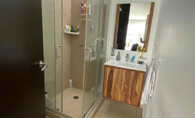 Departamento Fortin del Bosque