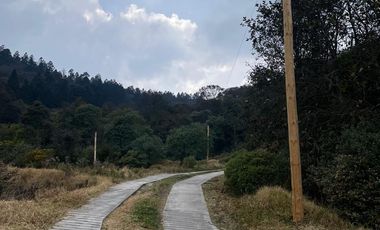 BELLO TERRENO CON GRAN VISTA