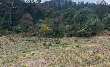 BELLO TERRENO CON GRAN VISTA