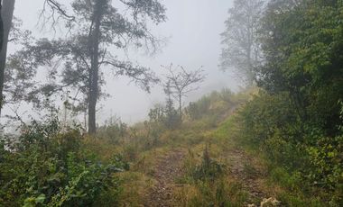 BELLO TERRENO CON GRAN VISTA