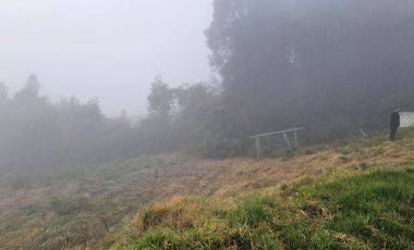 BELLO TERRENO CON GRAN VISTA