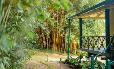 VENTA HOSTERIA SECTOR NANEGAL VIA NANEGALITO KM 7