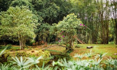 VENTA HOSTERIA SECTOR NANEGAL VIA NANEGALITO KM 7