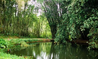 VENTA HOSTERIA SECTOR NANEGAL VIA NANEGALITO KM 7