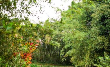 VENTA HOSTERIA SECTOR NANEGAL VIA NANEGALITO KM 7