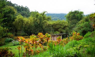 VENTA HOSTERIA SECTOR NANEGAL VIA NANEGALITO KM 7