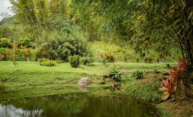 VENTA HOSTERIA SECTOR NANEGAL VIA NANEGALITO KM 7