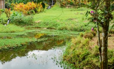 VENTA HOSTERIA SECTOR NANEGAL VIA NANEGALITO KM 7