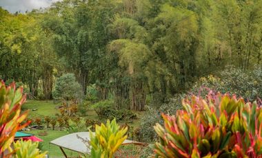 VENTA HOSTERIA SECTOR NANEGAL VIA NANEGALITO KM 7