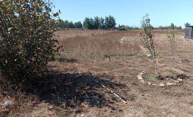 PARCELA 5175 MTS. CON CASA DE CONCRETO, LOS MAITENES, COMUNA DE RETIRO, REGION DEL MAULE.