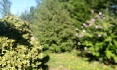 PARCELA 5175 MTS. CON CASA DE CONCRETO, LOS MAITENES, COMUNA DE RETIRO, REGION DEL MAULE.