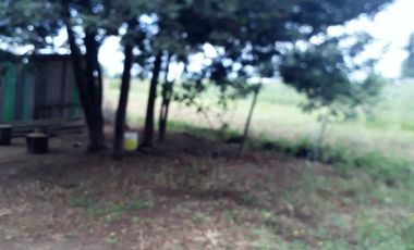 PARCELA 5175 MTS. CON CASA DE CONCRETO, LOS MAITENES, COMUNA DE RETIRO, REGION DEL MAULE.