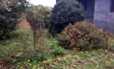 PARCELA 5175 MTS. CON CASA DE CONCRETO, LOS MAITENES, COMUNA DE RETIRO, REGION DEL MAULE.