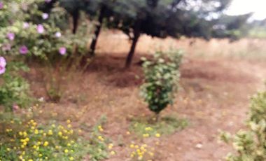 PARCELA 5175 MTS. CON CASA DE CONCRETO, LOS MAITENES, COMUNA DE RETIRO, REGION DEL MAULE.