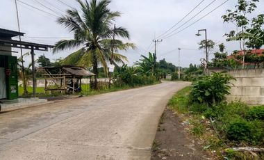 Kesempatan Terbatas! Lahan Besar Harga Kompetitif