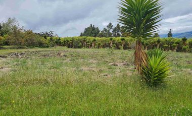 HERMOSA FINCA DE 23.800 mts BOLIVAR, CARCHI
