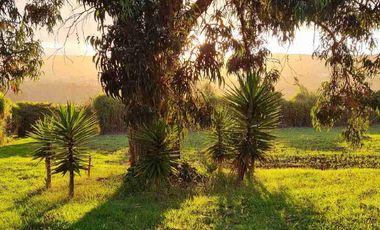 HERMOSA FINCA DE 23.800 mts BOLIVAR, CARCHI
