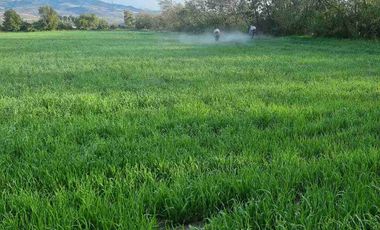 HERMOSA FINCA DE 23.800 mts BOLIVAR, CARCHI