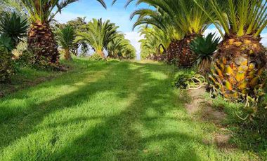 HERMOSA FINCA DE 23.800 mts BOLIVAR, CARCHI