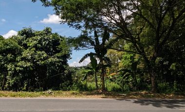 Dijual Tanah SHM Luas 12.500 m² – Kesempatan Emas!