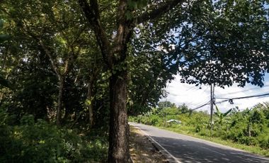 Dijual Tanah SHM Luas 12.500 m² – Kesempatan Emas!