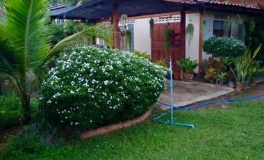 ขายบ้านเดี่ยว เนื้อที่ 1 งาน 92 ตร.วา พัฒนานิคม ลพบุรี