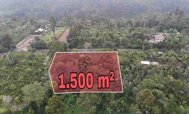 Tanah Murah Pinggir Jalan Jungle View Pelaga Badung Bali