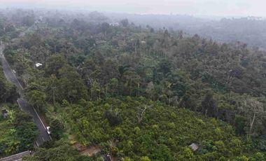 Tanah Murah Pinggir Jalan Jungle View Pelaga Badung Bali