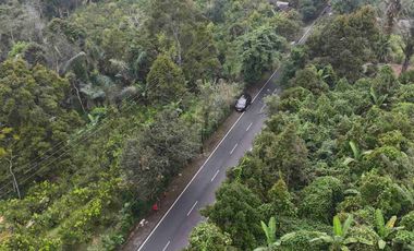 Tanah Murah Pinggir Jalan Jungle View Pelaga Badung Bali