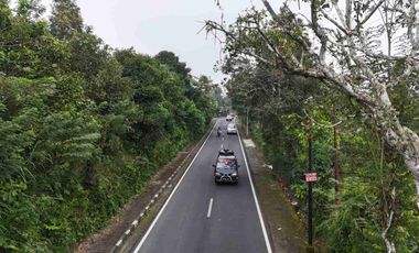 Tanah Murah Pinggir Jalan Jungle View Pelaga Badung Bali