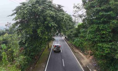 Tanah Murah Pinggir Jalan Jungle View Pelaga Badung Bali