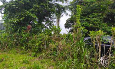 Tanah Murah Pinggir Jalan Jungle View Pelaga Badung Bali