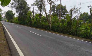 Tanah Murah Pinggir Jalan Jungle View Pelaga Badung Bali