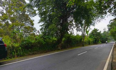 Tanah Murah Pinggir Jalan Jungle View Pelaga Badung Bali
