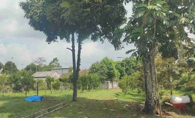 Villa Subang Curugrendeng Jalan Cagak terawat jual cepat ada Kebun Jeruk Alpokat,Durian dan sebagainya