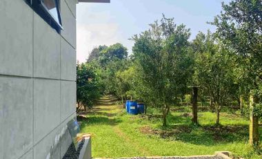 Villa Subang Curugrendeng Jalan Cagak terawat jual cepat ada Kebun Jeruk Alpokat,Durian dan sebagainya