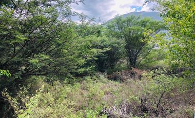 Terreno en venta sector Lacay Bajo del canton Santa Isabel