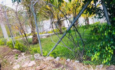 Terreno en venta sector Lacay Bajo del canton Santa Isabel