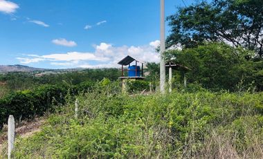 Terreno en venta sector Lacay Bajo del canton Santa Isabel