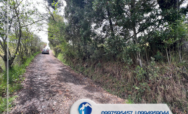 Venta de Terreno, Sector Santa Ana, Cuenca