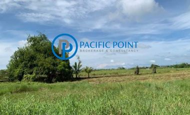 Lot for sale in Tarlac