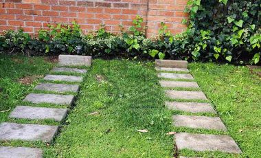 Suite amoblada de renta