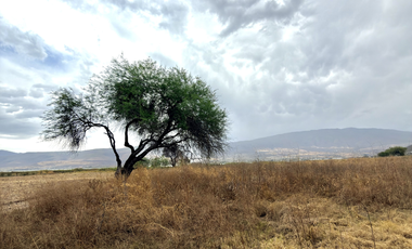 TERRENO EN VENTA  FRENTE AL LAGO DE CAJITITLAN