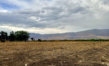 TERRENO EN VENTA  FRENTE AL LAGO DE CAJITITLAN
