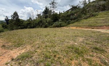 Lote en Montesereno