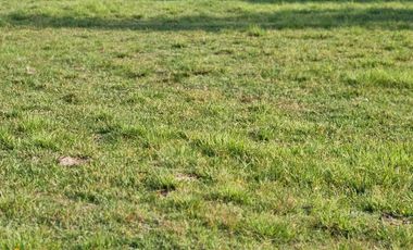 🏡 GRAN OPORTUNIDAD DE INVERSIÓN EN SAN FERNANDO – PUENTE NEGRO-R.I-45//Termas del Flaco